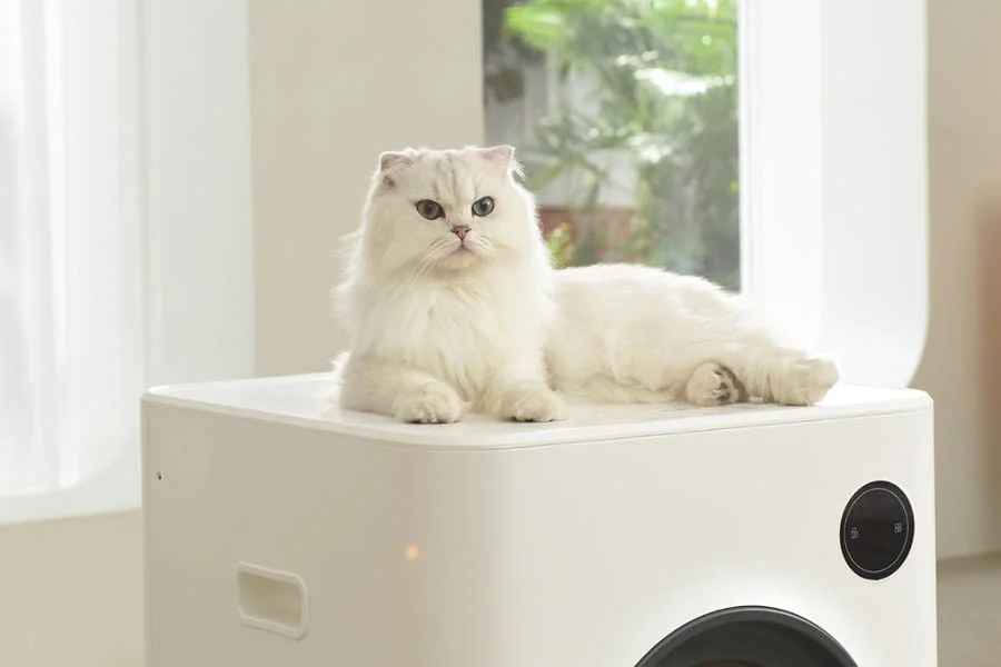 robotic kitty litter