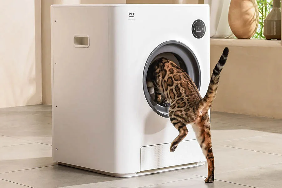 auto cat litter boxes