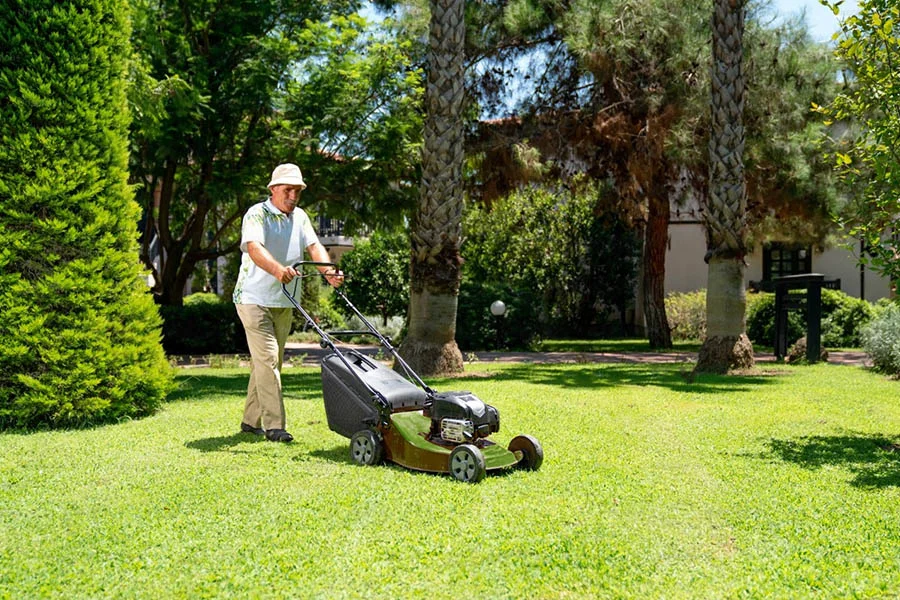 lawn cut machine