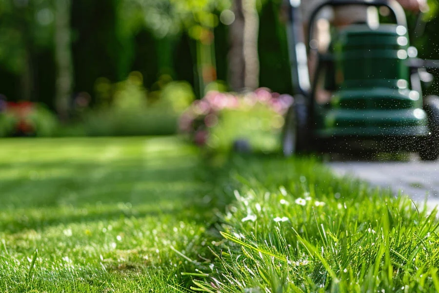 best inexpensive lawn mower