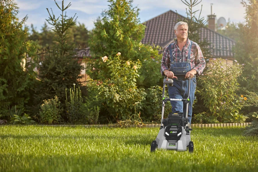 electric lawnmower