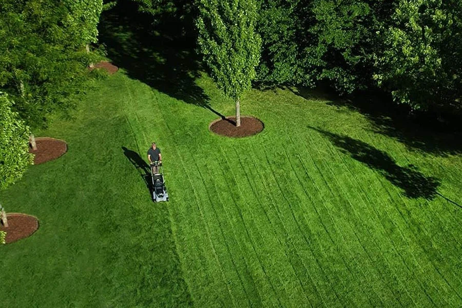 self-propelled lawnmower